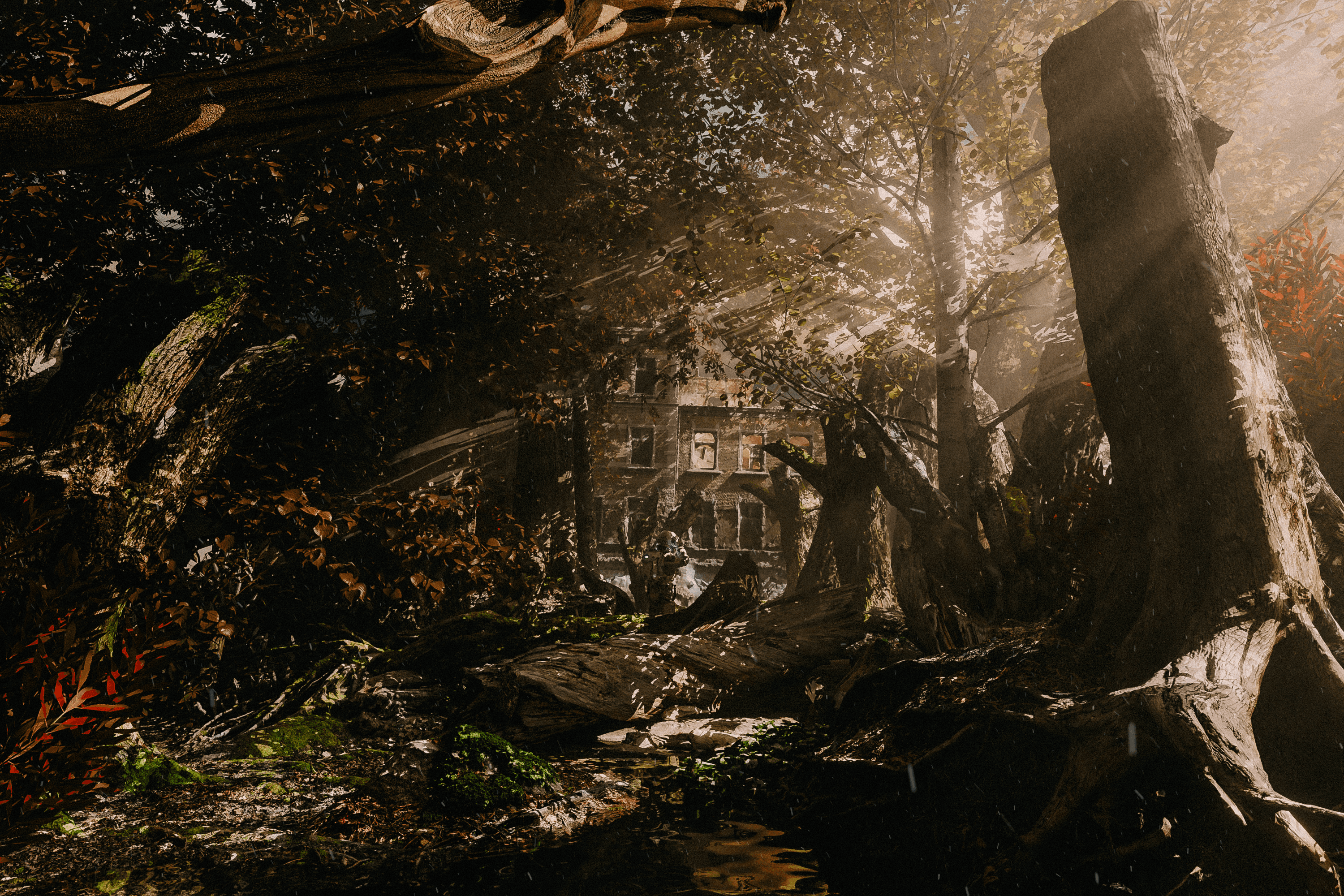 Reel image